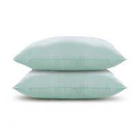 Polyester Pillow